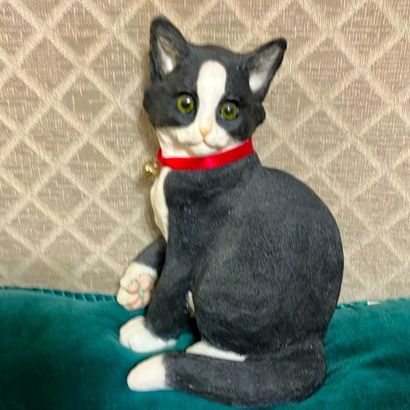 Beautiful black and white kitten sitting - Picture 3 of 11